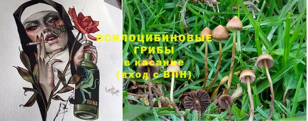 дурь Заволжск