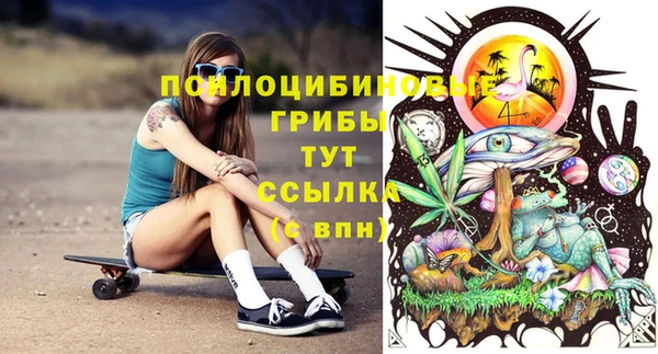 дурь Заволжск