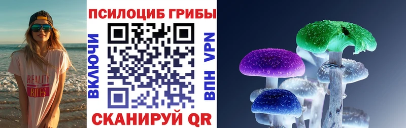МЕГА зеркало Сенгилей Псилоцибиновые грибы Cubensis